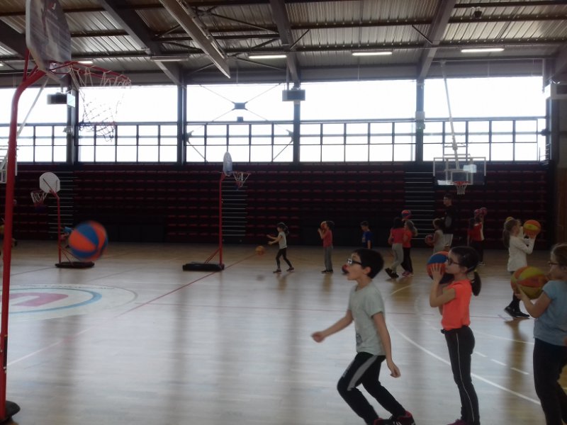 basket7_0 basket7_0