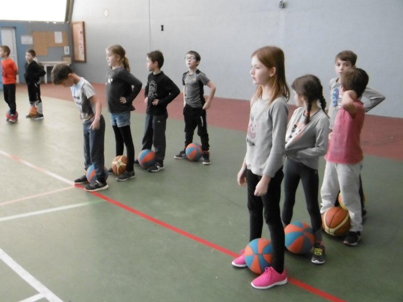 basket8 basket8