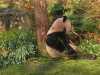 IMG-20250130-WA0031